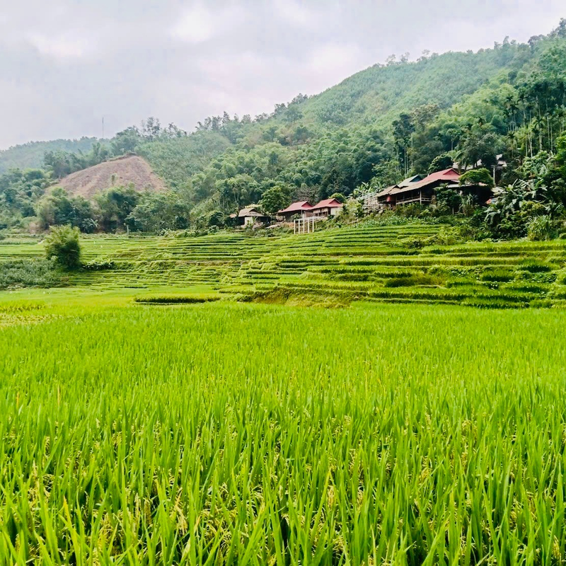 3-DAY NINH BINH (MOTORBIKE+HIKING): TAM COC, TRANG AN & PU LUONG